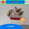 فشنگی آب ریو