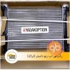 رادیاتور آب رنو داستر