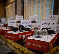 هرزگرد دینام 206 پایین