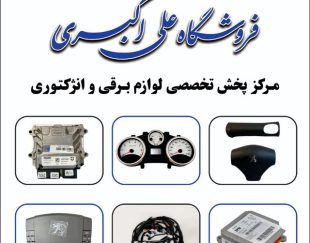 مرکز پخش تخصصی لوازم برقی و انژکتوری