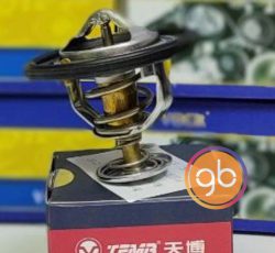 ترموستات چانگان