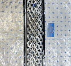 توری سپر جلو دناپلاس