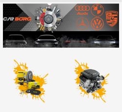 وب سایت کاربورگ