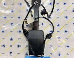 پریز کمربند تارا