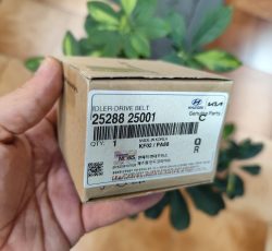 هرزگرد شیاردار دینام سوناتا