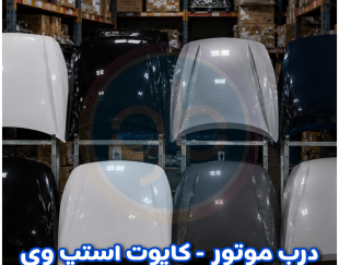 درب موتور استپ وی