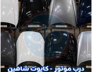 درب موتور شاهین