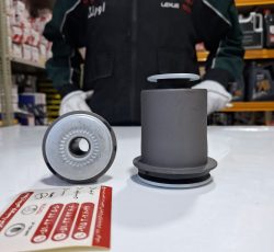 بوش طبق پایین کلوت