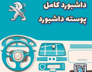داشبورد کامل پژو 206