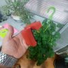 سر باطری مثبت سه پیچ برلیانس H220