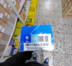 مجموعه تیغه برف پاکن دنا
