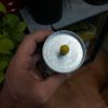 فیلتر بنزین آریو