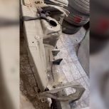 پالونی عقب ماکسیما شرکتی