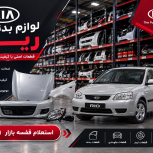 لیست قیمت لوازم بدنه ریو