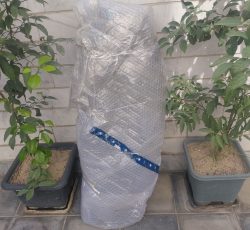 پوسته داشبورد ریرا